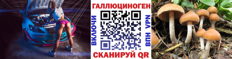 Псилоцибиновые грибы Magic Shrooms  блэк спрут ссылки  Щигры 